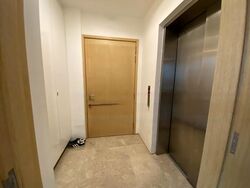 Rhapsody On Mount Elizabeth (D9), Apartment #458939341